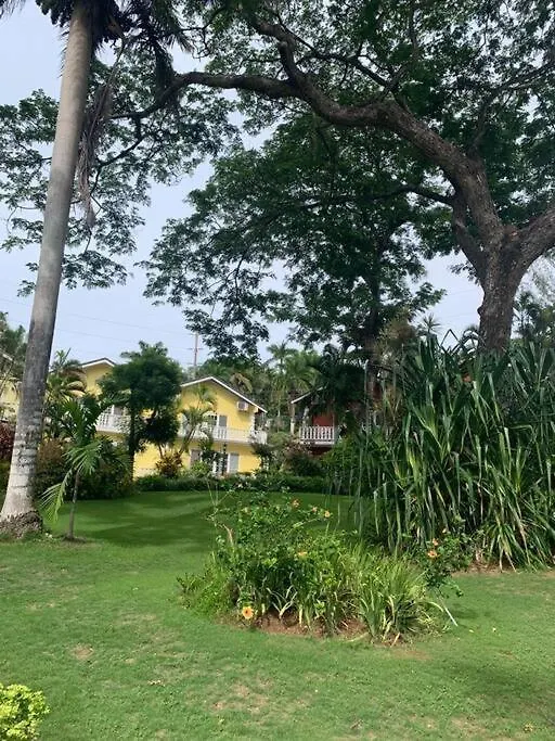 Guango Grove Getaway Lägenhet Montego Bay